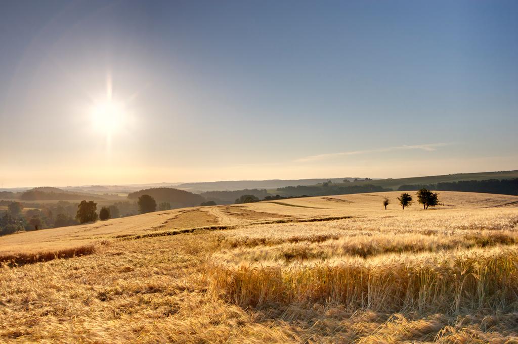 Yogareise-Sachsen (2)