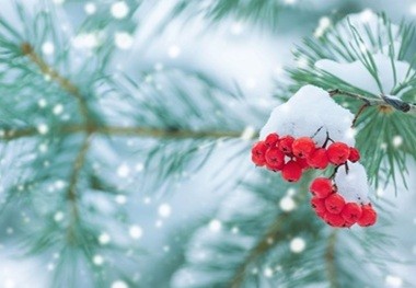 BEEREN - Schnee -bewusst reisen - Jahreswende - Silvester 2025 /2026 - Yoga - Klang - Singkreis